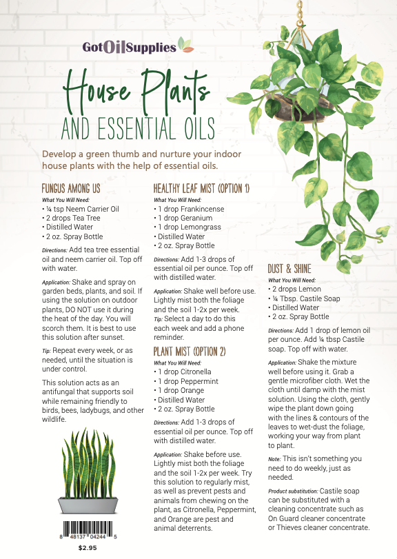 House Plants and Essential Oils Recipe Sheets