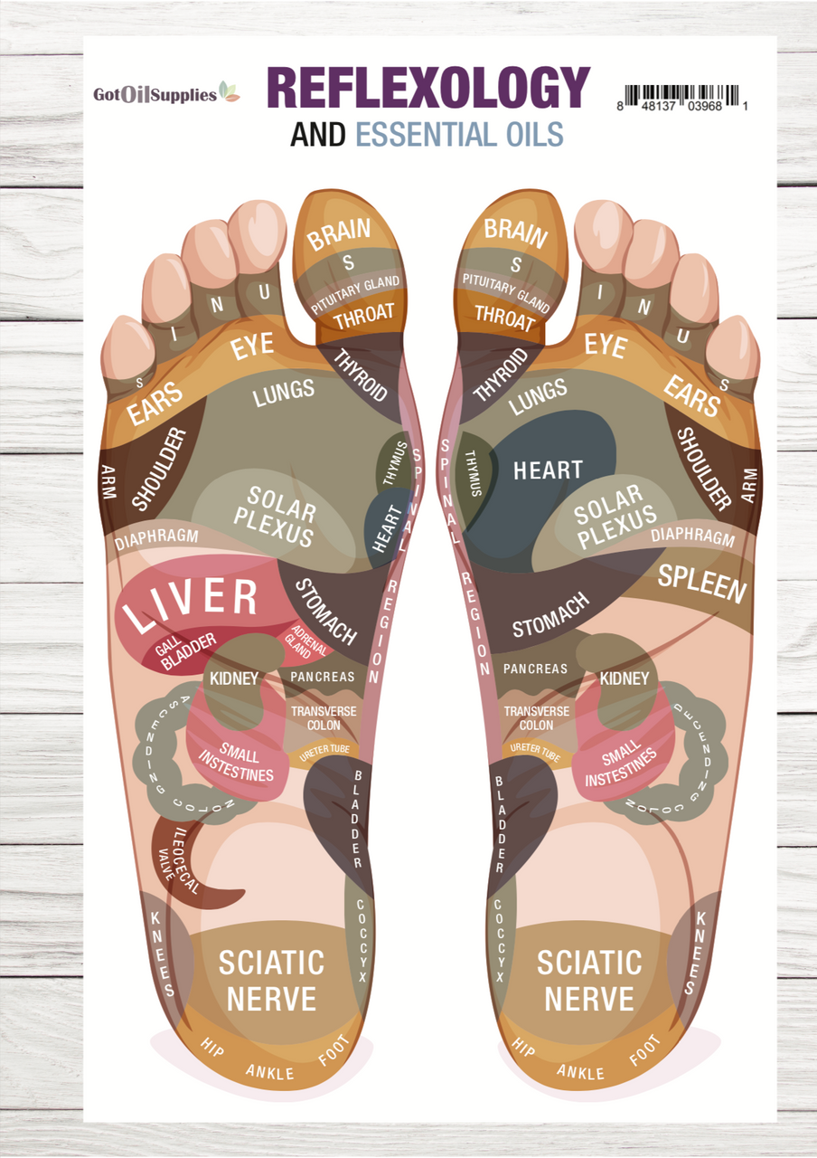 Reflexology and Essential Oils Resource Card