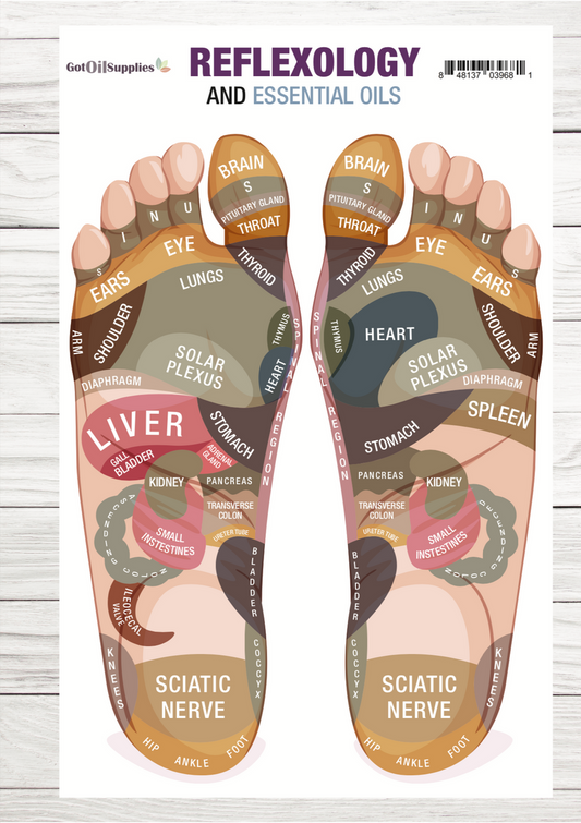 Reflexology and Essential Oils Resource Card